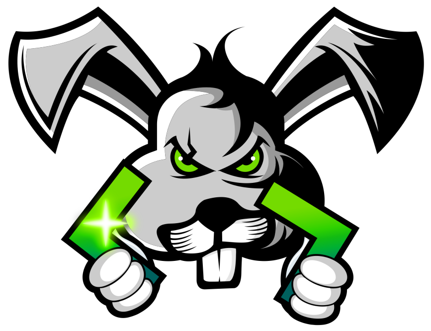 Nift rabbit mascot with code tag boomerangs